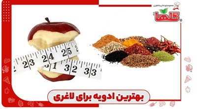 کاهش وزن سریع تنها با مصرف ۱۰ ادویه مخصوص لاغری!